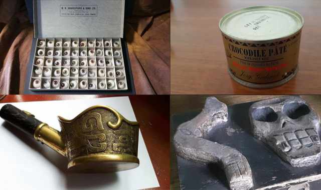 Meteoriti, bulbi oculari e paté di coccodrillo: su Facebook i collezionisti degli "oggetti strani"